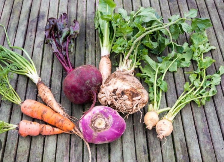 Détox – Les racines et tubercules à l’honneur !
